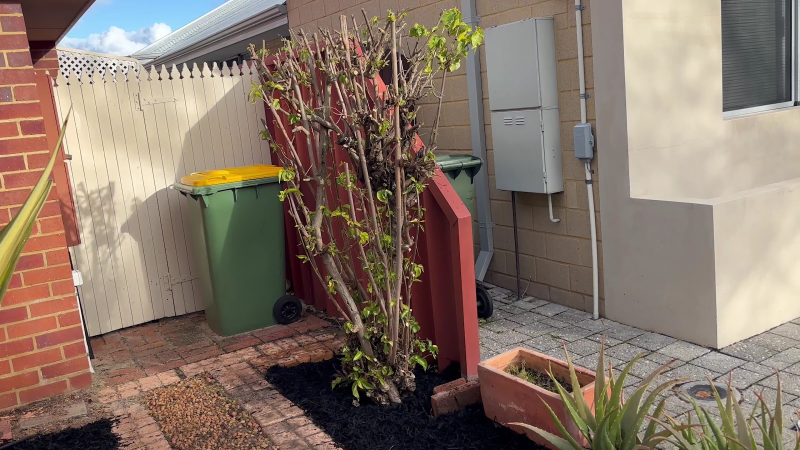 Side-garden clean-up and fresh mulching by Total Landscape, Perth